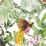 Tropical Bird Peel and Stick Removable Wallpaper