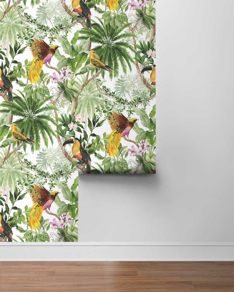 HG10900 tropical peel and stick wallpaper roll from Harry and Grace
