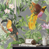 HG10908 tropical peel and stick wallpaper decor from Harry and Grace