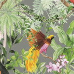 HG10908 tropical peel and stick wallpaper from Harry and Grace
