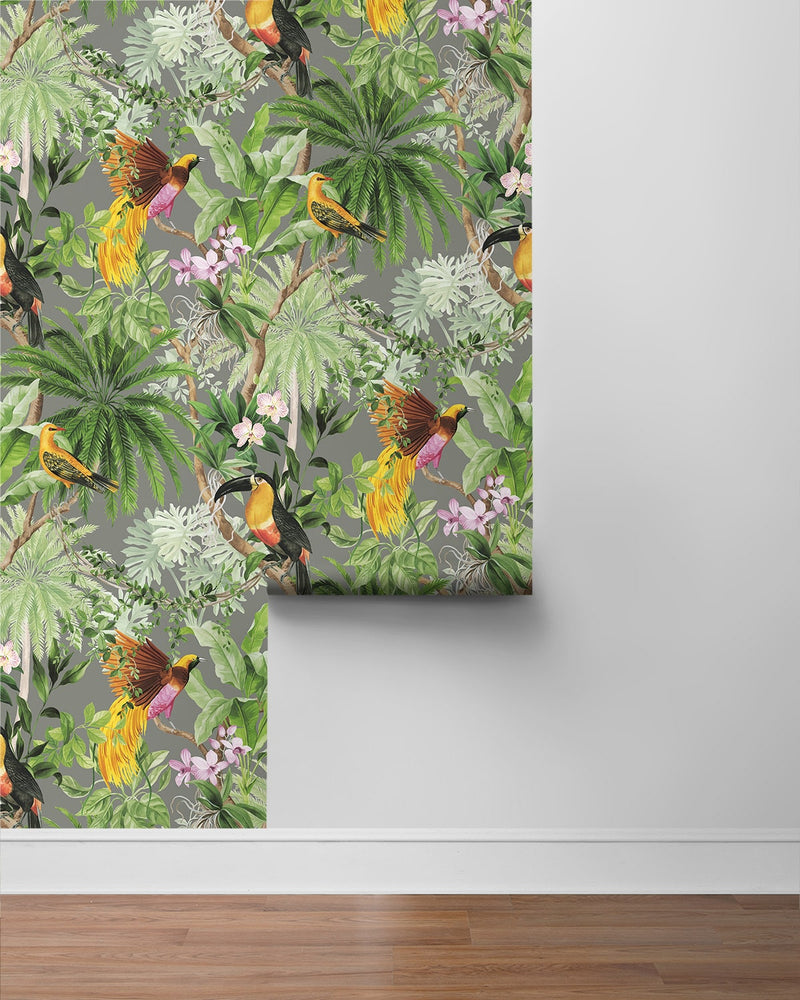HG10908 tropical peel and stick wallpaper roll from Harry and Grace