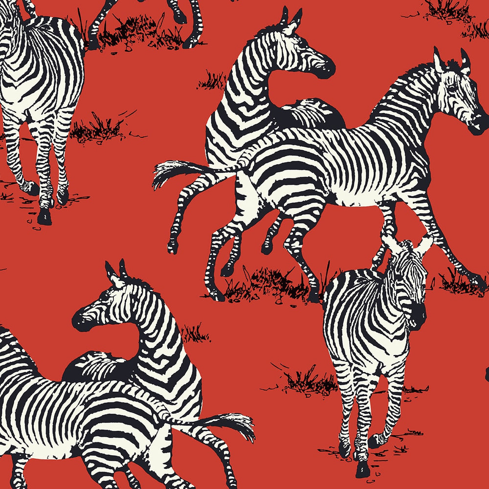 
                  
                    HG11101 zebra peel and stick wallpaper from Harry & Grace
                  
                