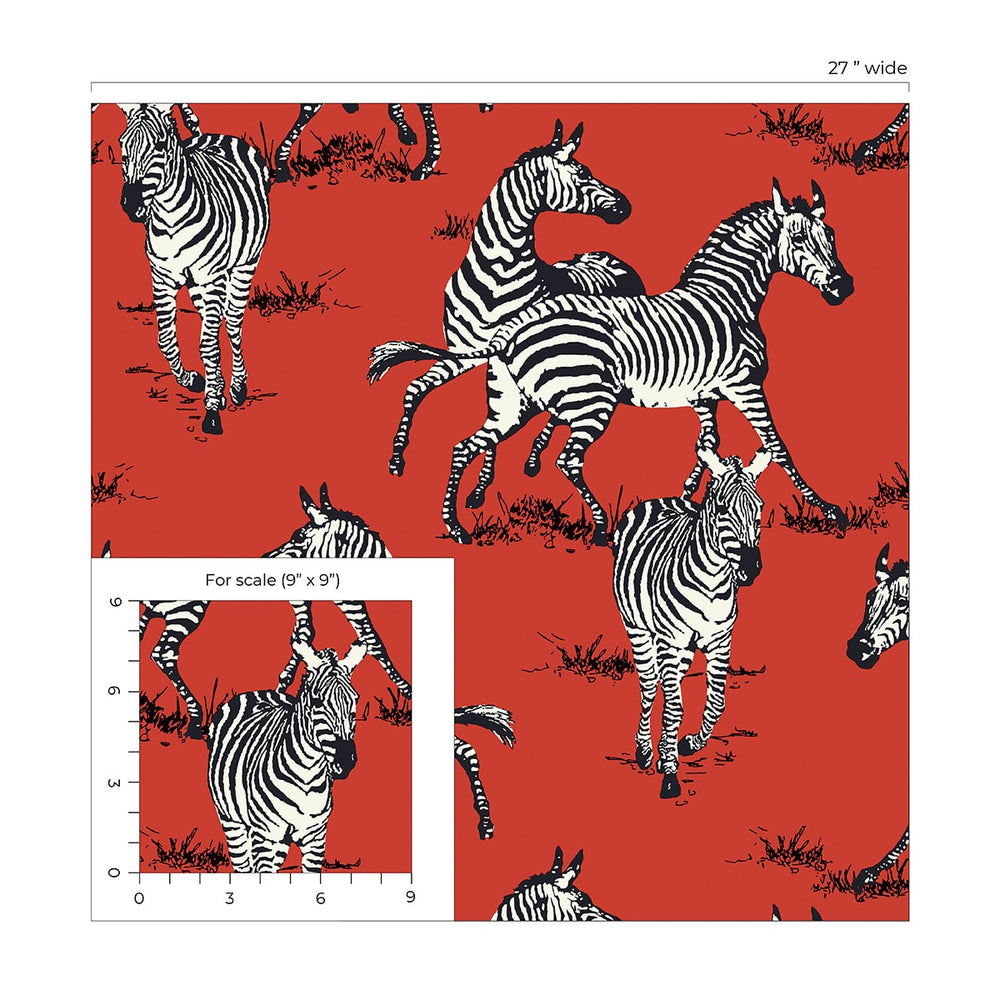 
                  
                    HG11101 zebra peel and stick wallpaper scale from Harry & Grace
                  
                