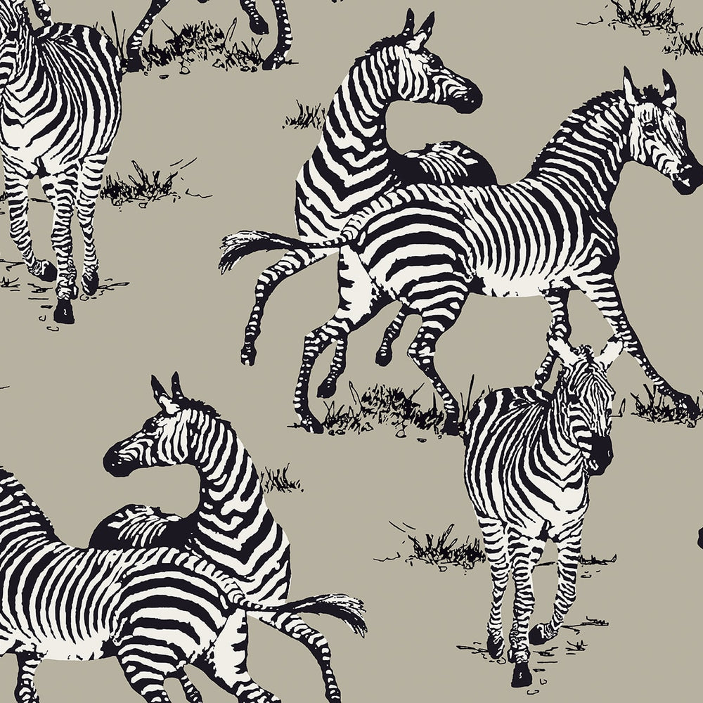 
                  
                    HG11110 zebra peel and stick wallpaper from Harry & Grace
                  
                