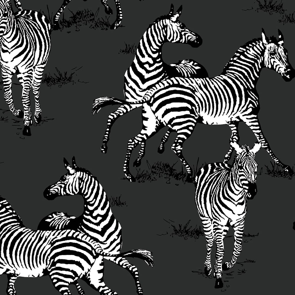 
                  
                    HG11120 zebra peel and stick wallpaper from Harry & Grace
                  
                