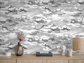 HG11200 cloud peel and stick wallpaper decor from Harry & Grace