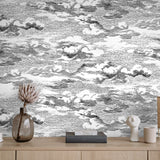 HG11200 cloud peel and stick wallpaper decor from Harry & Grace