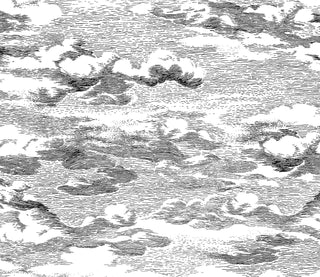 HG11200 cloud peel and stick wallpaper from Harry & Grace