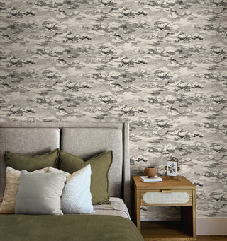 HG11210 cloud peel and stick wallpaper bedroom from Harry & Grace