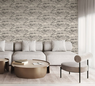 HG11210 cloud peel and stick wallpaper living room from Harry & Grace
