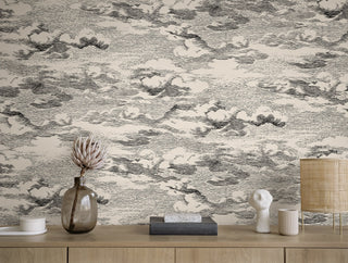 HG11210 cloud peel and stick wallpaper decor from Harry & Grace