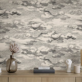 HG11210 cloud peel and stick wallpaper decor from Harry & Grace