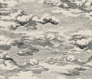 HG11210 cloud peel and stick wallpaper from Harry & Grace