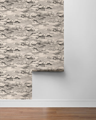 HG11210 cloud peel and stick wallpaper roll from Harry & Grace