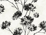 Dandelion Floral Peel and Stick Removable Wallpaper
