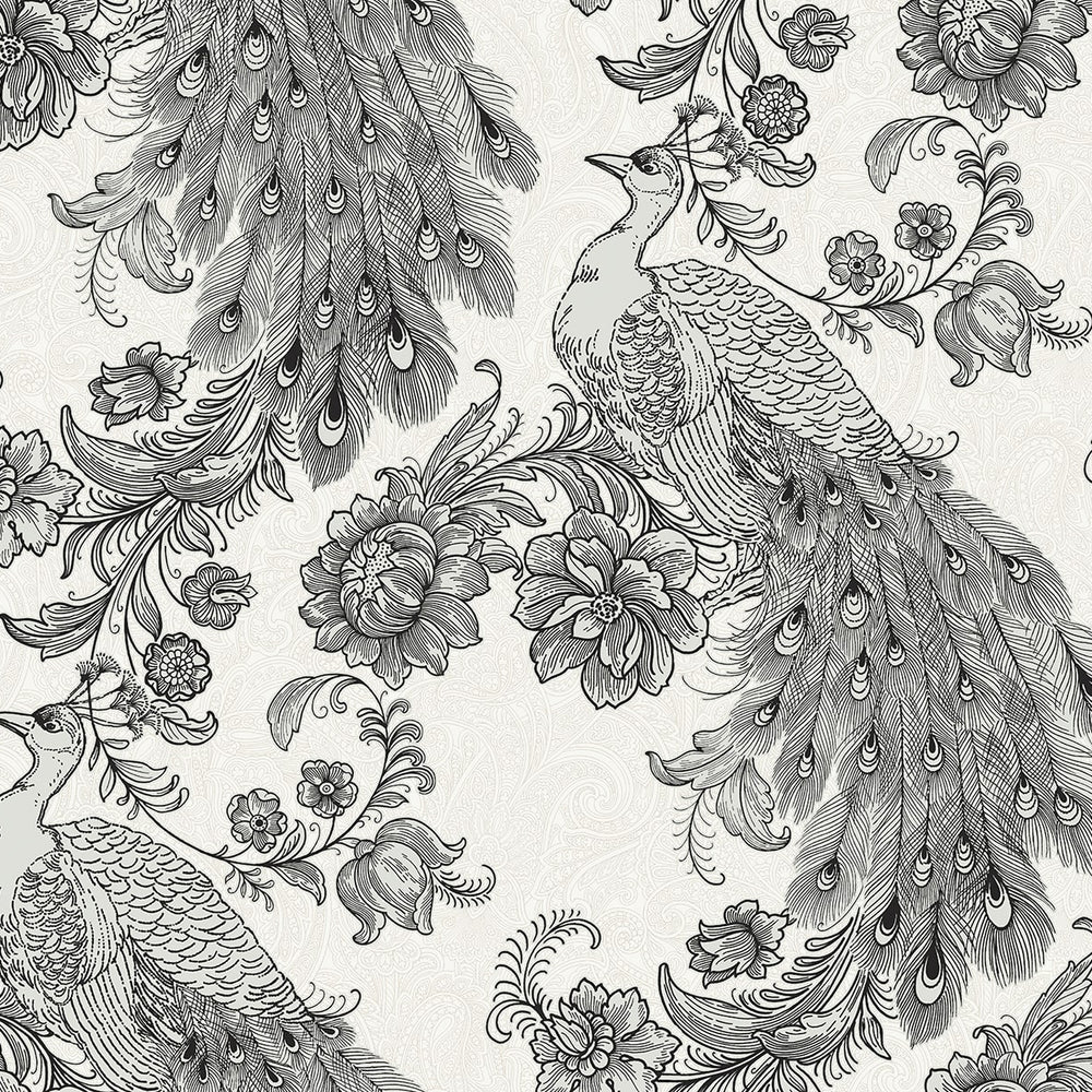 HG12200 peacock peel and stick wallpaper from Harry & Grace