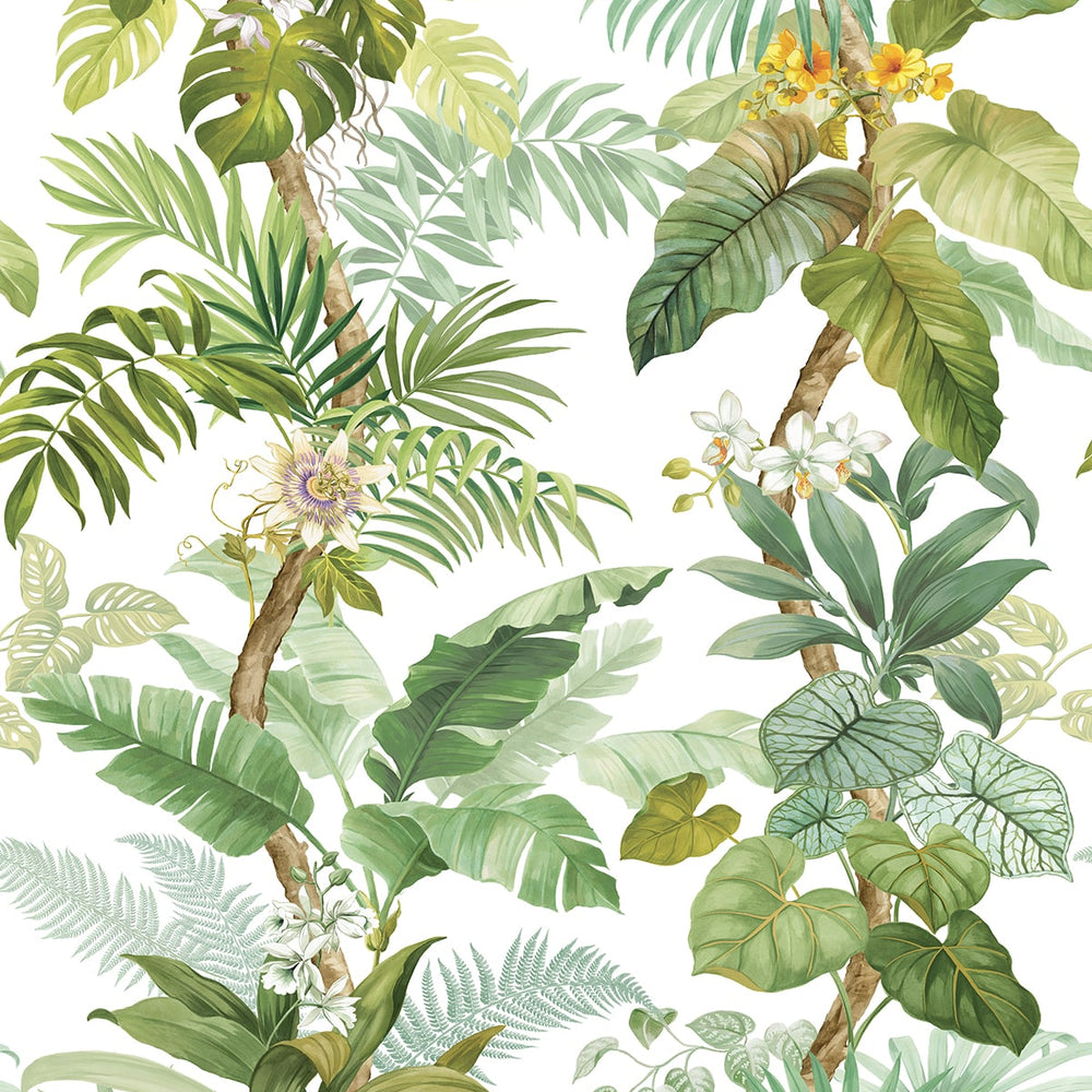 
                  
                    HG12304M tropical peel and stick wall mural from Harry & Grace
                  
                