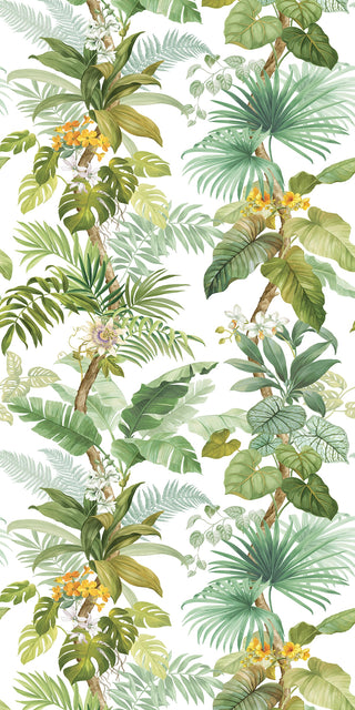 HG12304M tropical peel and stick wall mural from Harry & Grace