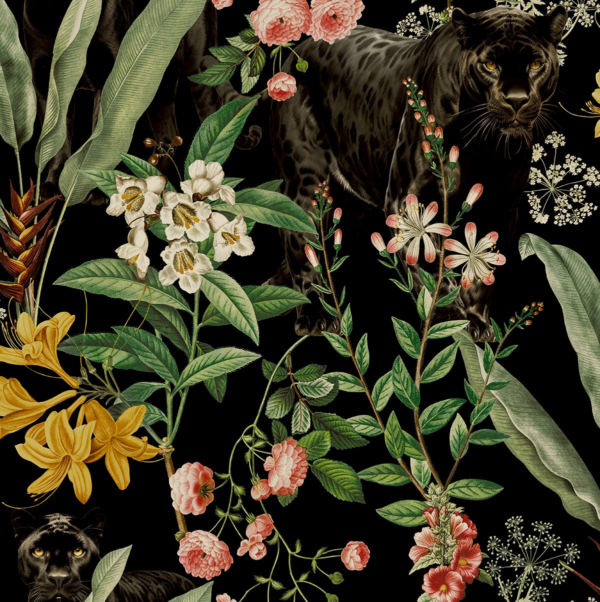 HG13900 Panther jungle tropical peel and stick wallpaper from Harry & Grace