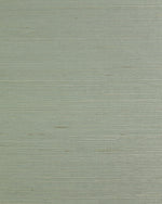 LN50023 sisal grasscloth wallpaper from Lillian August