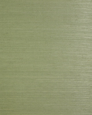 LN50028 green sisal grasscloth wallpaper from Lillian August