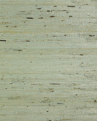 LN50029 green grasscloth wallpaper from Lillian August