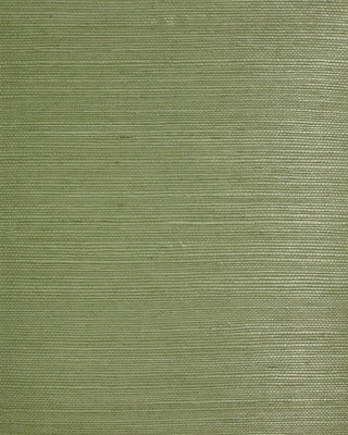 LN50030 green sisal grasscloth wallpaper from Lillian August