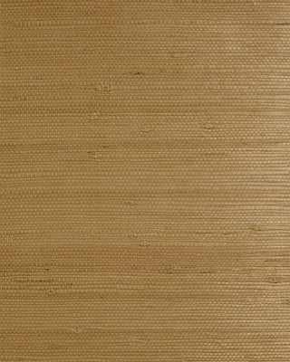 LN50031 sisal grasscloth wallpaper from Lillian August