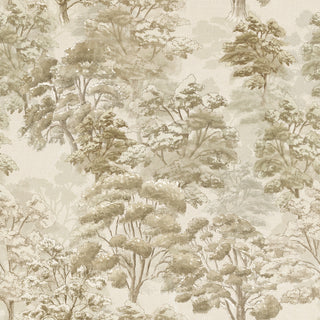 Leland Forest Peel and Stick Wallpaper in shade Neutral at Say Decor