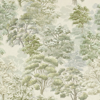Leland Forest Peel and Stick Wallpaper in shade Sage Green at Say Decor