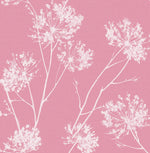 NW36001 floral peel and stick wallpaper from NextWall