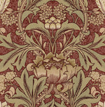 NW41511 vintage morris peel and stick wallpaper from NextWall