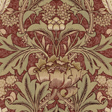 NW41511 vintage morris peel and stick wallpaper from NextWall