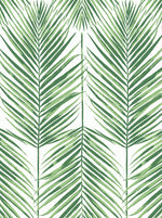 NW47404 palm leaf peel and stick wallpaper from NextWall