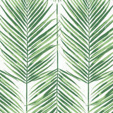 NW47404 palm leaf peel and stick wallpaper from NextWall