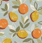 NW49306 fruit peel and stick wallpaper from NextWall
