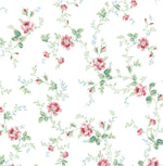 NW50401 floral peel and stick wallpaper from NextWall