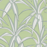 NW51704 plant peel and stick wallpaper from NextWall