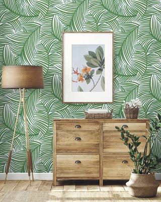 NW51904 palm leaf peel and stick wallpaper entryway from NextWall