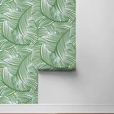NW51904 palm leaf peel and stick wallpaper roll from NextWall