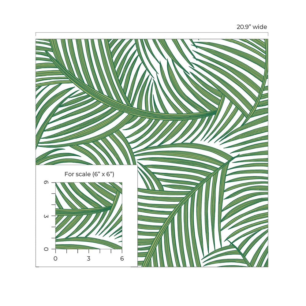 
                  
                    NW51904 palm leaf peel and stick wallpaper scale from NextWall
                  
                