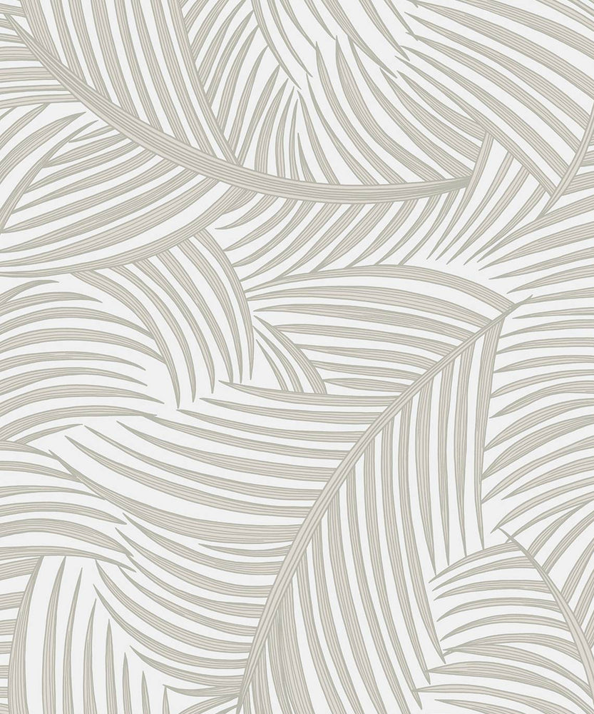 NW51907 palm leaf peel and stick wallpaper from NextWall