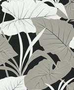 NW52000 elephant leaf peel and stick wallpaper from NextWall