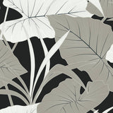 NW52000 elephant leaf peel and stick wallpaper from NextWall