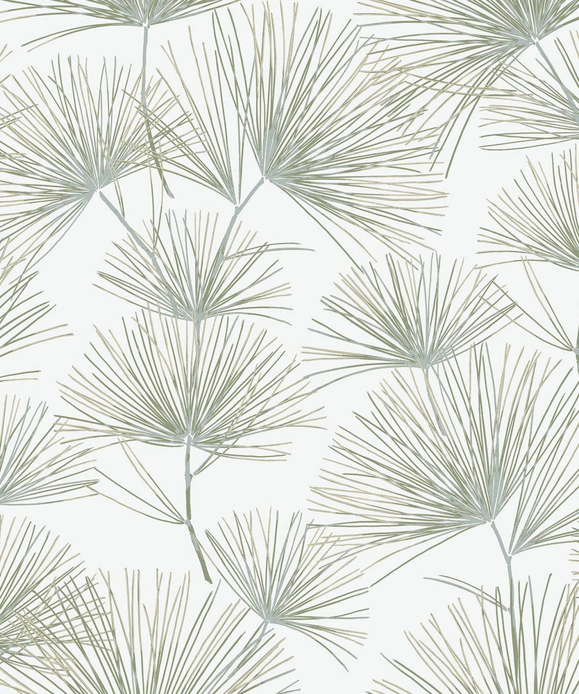 Pine Needles Botanical Premium Peel and Stick Removable Wallpaper