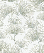 Pine Needles Botanical Premium Peel and Stick Removable Wallpaper