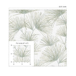 NW52104 pine needle botanical peel and stick wallpaper scale from NextWall