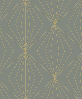 NW53105 geometric peel and stick wallpaper from NextWall