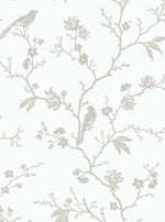 NW53400 chinoiserie peel and stick wallpaper from NextWall