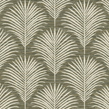 NW53805 palm leaf peel and stick wallpaper from NextWall